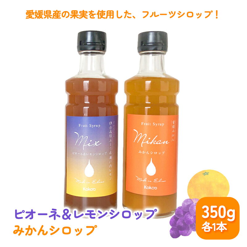 【ふるさと納税】 愛媛県産フルーツシロップ2本セット<みかん・ピオーネ&レモン>(簡易箱入り)|シロップ 果実シロップ みかん ぶどう 愛媛 シロップセット ピオーネ
