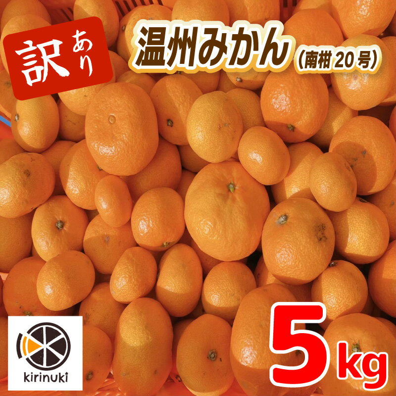 【ふるさと納税】 【12月中旬から発送予定】 訳あり みかん 5kg ...(4)