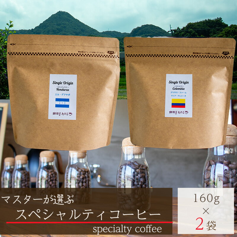 [スペシャルティコーヒー]マスターこだわりセレクトセット 160g×2種 コーヒー 時短 日持ち 保存 贈り物 お中元 母の日 父の日 おすすめ 愛媛県 松山市