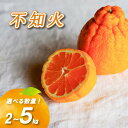 【ふるさと納税】 【2026年3月中旬より発送】 不知火 2kg / 5kg ( 数量選択可 国産 愛媛みかん 愛媛蜜柑 愛媛ミカン みかん ミカン mikan 蜜柑 柑橘 フルーツ 果物 くだもの お取り寄せ 産地直送 数量限定 人気 おすすめ 愛媛県 松山市 送料無料 )