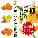 【ふるさと納税】 【三種のみかん食べ比べ箱】 先行予約 <2月から順次発送> せとか・はるか・伊予柑 約1.5kg 家庭用 | 愛媛 みかん 先行予約 蜜柑 柑橘 果物 くだもの フルーツ お取り寄せ グルメ 期間限定 数量限定 人気 おすすめ 愛媛県 松山市(4)