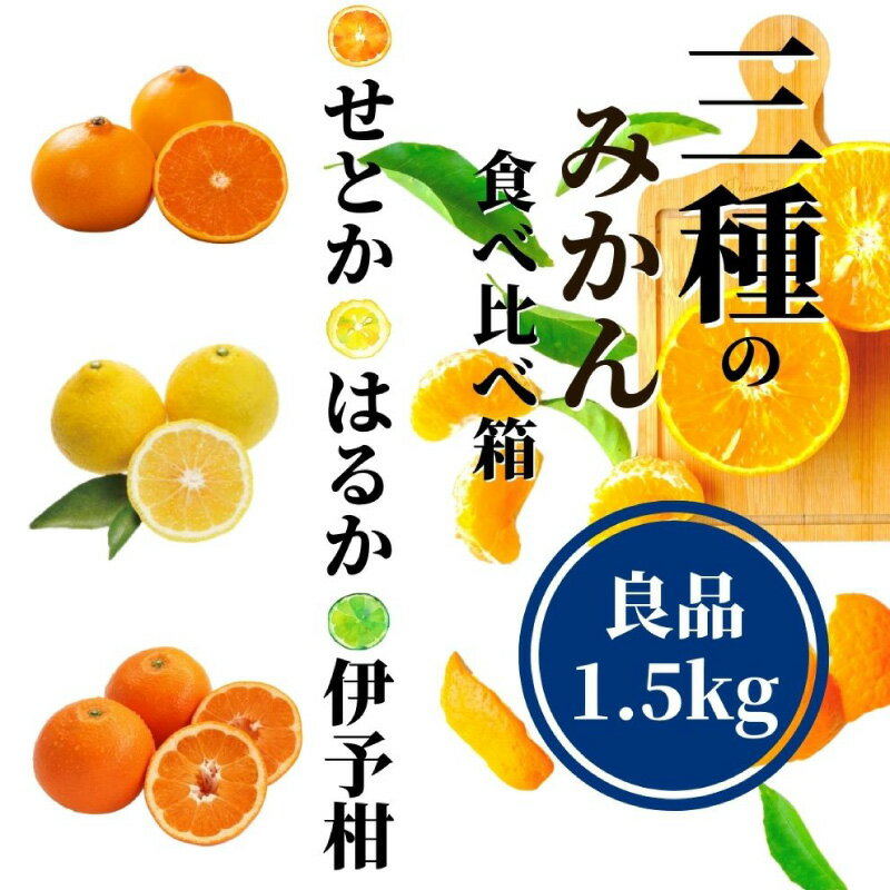 【ふるさと納税】 【三種のみかん食べ比べ箱】 先行予約 ＜2月から順次発...