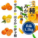 【ふるさと納税】 【三種のみかん食べ比べ箱】 先行予約 <2月から順次発...