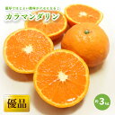 【ふるさと納税】 【2026年4月上旬から発送予定】カラマンダリン <優品> 約 3kg | 愛媛 みかん 先行予約 蜜柑 柑橘 果物 くだもの フルーツ お取り寄せ グルメ 期間限定 数量限定 人気 おすすめ 愛媛県 松山市