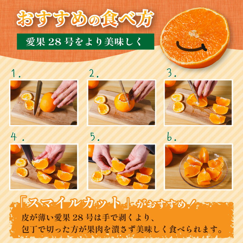 愛媛県松山市の画像3