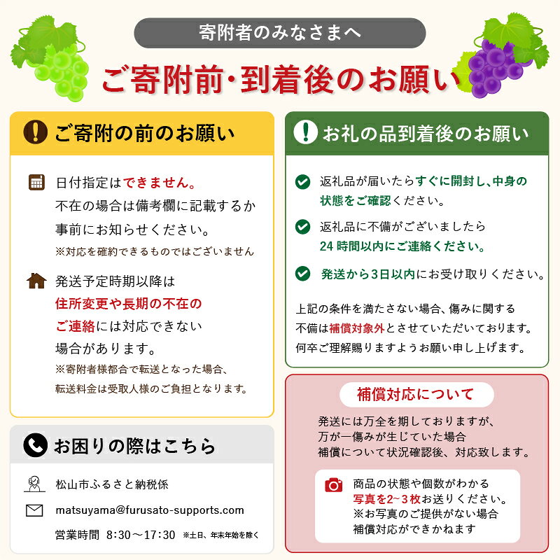 【ふるさと納税】 【2026年8月上旬頃から順次発送】シャインマスカット 2kg