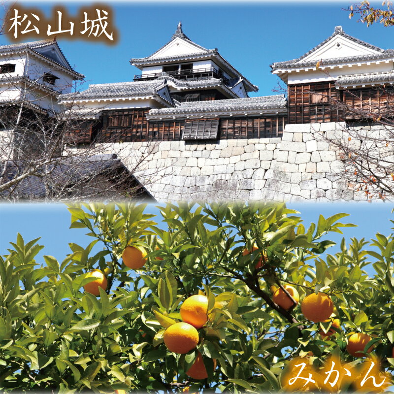 愛媛県松山市の画像3