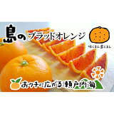 【ふるさと納税】希望の島 ブラッドオレンジ（タロッコ） 3kg 愛媛 中島産
