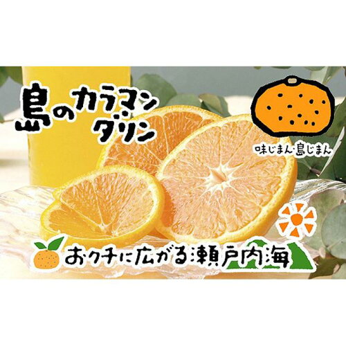 【希望の島】 松山市 中島からお届け!! 数量・期間限定 オレンジ【ふ...