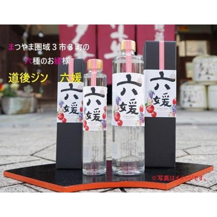 【ふるさと納税】 道後ジン 六媛・トニックセット（G6-200）