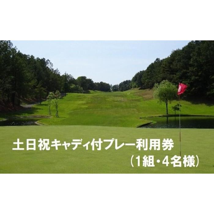 【ふるさと納税】 エリエールゴルフクラブ松山 土日祝キャディ付プレー利用券4名1組 | ゴルフ プレゼ...