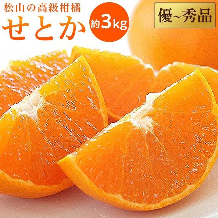 17位! 口コミ数「9件」評価「4.56」【2月中旬から発送】 せとか ＜ 優品 ＞ 約 3kg L~3L 10~15玉 | 先行予約 柑橘 愛媛 みかん 果物 くだもの フルーツ ･･･ 