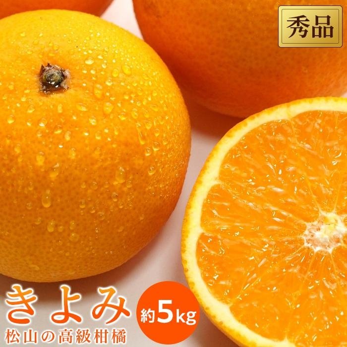 [3月中旬から発送] きよみ [ 秀品 ] 約 5kg | 愛媛 みかん 先行予約 蜜柑 柑橘 果物 くだもの フルーツ お取り寄せ グルメ 期間限定 数量限定 人気 おすすめ 愛媛県 松山市