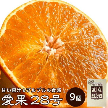 【ふるさと納税】特級品 先行予約 愛果28号 紅まどんな 9個 | 柑橘 みかん 果物 くだもの フルーツ おすすめ 高級 人気 お取り寄せ グルメ ギフト 期間限定 数量限定 ご当地 愛媛県 松山市