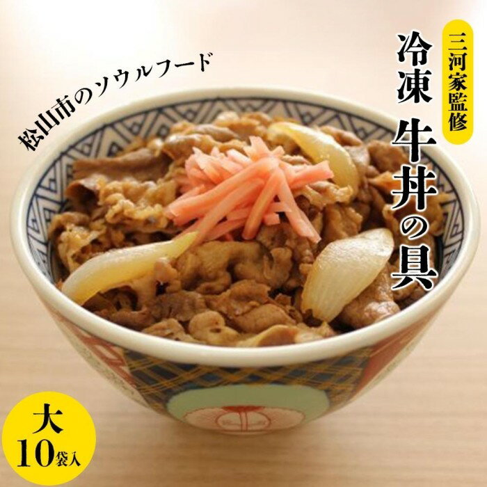 三河家監修 冷凍 牛丼 大 170g × 10食 | ご飯 牛丼 牛肉 冷凍 小分け 便利 お惣菜 グルメ ご飯のお供 人気 おすすめ 愛媛県 松山市