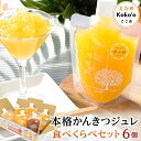 【ふるさと納税】「いちずみ」食べ比べセット6個入り (ぶどう入り) (ココオ簡易BOX入り)(4)