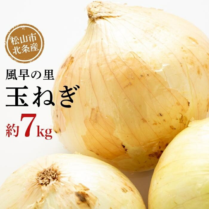 【ふるさと納税】期間限定 松山市北条産 風早の里 玉ねぎ 約7kg | 玉葱 たまねぎ 野菜 やさい 野菜炒め 焼きそば カレー 味噌汁 料理 調理 お取り寄せ グルメ 人気 おすすめ 愛媛県 松山市