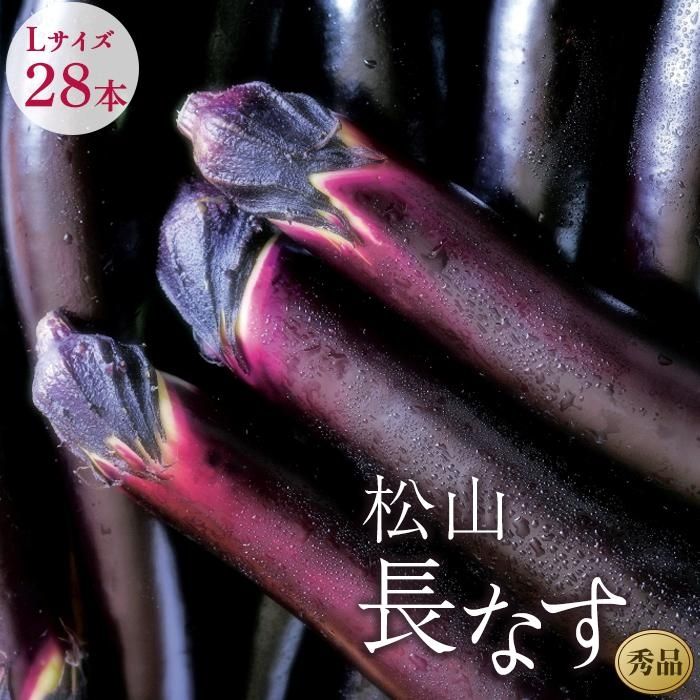 【ふるさと納税】【先行予約】★2023年7月中旬から発送★＜松山ブランド＞松山長なす 秀品 Lサイズ 28本入り | 茄子 なすび 野菜 やさい 麻婆茄子 浅漬け キーマカレー 煮込み料理 調理 炒め物 焼きナス お取り寄せ 人気 おすすめ 愛媛県 松山市