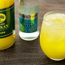 【ふるさと納税】 【2025年2月より順次発送】【自然栽培】宮内伊予柑 皮ごとストレート720ml1本・トニックウォーター200ml4本セット 果汁100% ジュース 愛媛県産 ノンアルコール