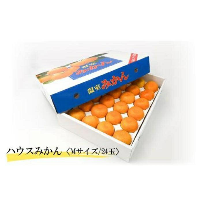 【期間限定】 【6月下旬から発送】　2024年6月末より発送 ハウスみかん（温室みかん・ハウス栽培） 予約販売 みかん 柑橘 蜜柑 ハウスみかん