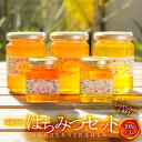 【ふるさと納税】 道後の杜 はちみつセット(300g×3本)ミニはちみつ付き