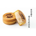 【ふるさと納税】【松山老舗和菓子店】こいずみの大判焼［白あん］8個入×2箱