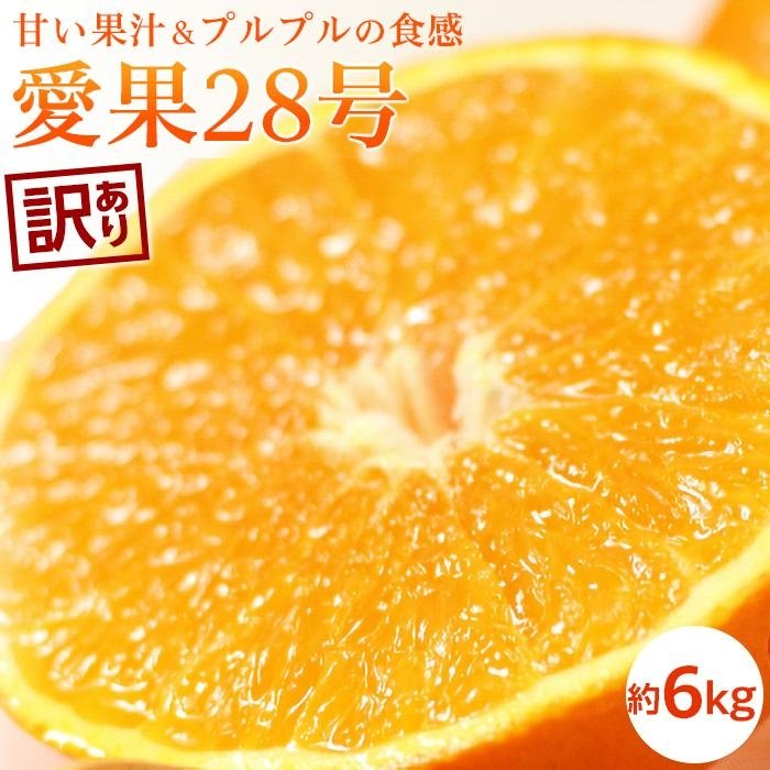 【ふるさと納税】 【11月中旬から発送予定】 訳あり あいか 約6kg | 愛果28号 まどんな 柑橘 みかん 果物 くだもの フルーツ おすすめ 高級 人気 ...