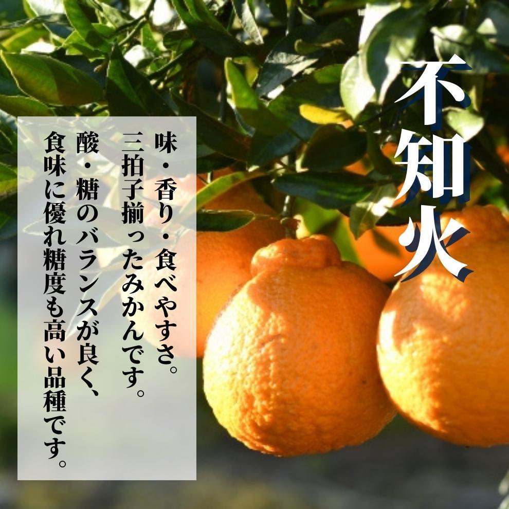 【ふるさと納税】不知火 良品 約5kg　＜2025年2月末から4月頭頃発送＞ | 愛媛 みかん 先行予約 蜜柑 柑橘 果物 くだもの フルーツ お取り寄せ グルメ 期間限定 数量限定 人気 おすすめ 愛媛県 松山市