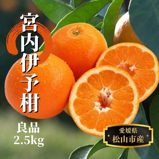 【ふるさと納税】宮内伊予柑 良品 約2.5kg <2026年2月から3月中旬頃発送> | 愛媛 みかん 先行予約 蜜柑 柑橘 果物 くだもの フルーツ お取り寄せ グルメ 期間限定 数量限定 人気 おすすめ 愛媛県 松山市 【ふるさと納税】宮内伊予柑 良品 約2.5kg <2026年2月から3月中旬頃発送> | 愛媛 みかん 先行予約 蜜柑 柑橘 果物 くだもの フルーツ お取り寄せ グルメ 期間限定 数量限定 人気 おすすめ 愛媛県 松山市