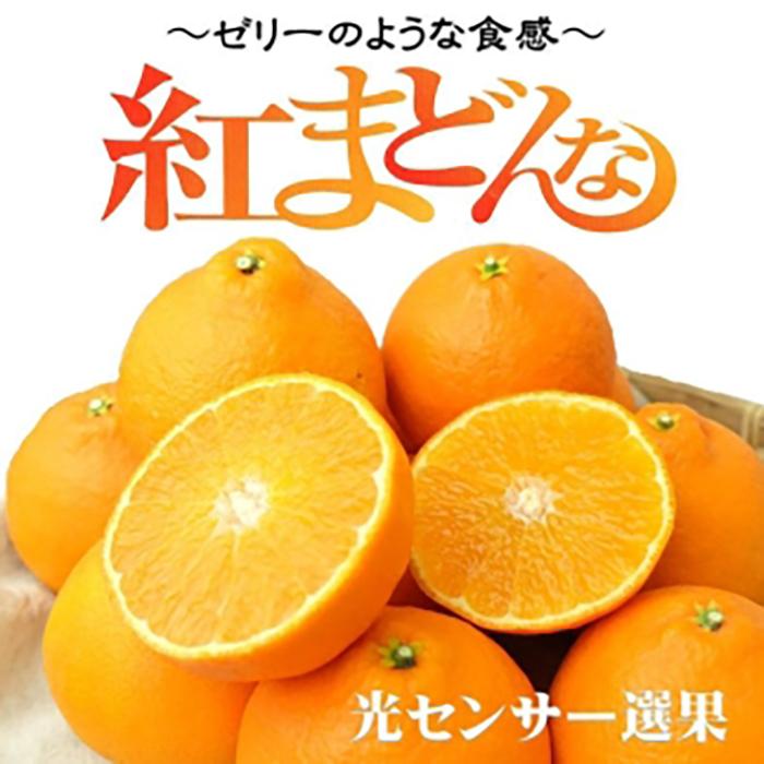 【ふるさと納税】【先行予約】 紅まどんな 3kg（8~15玉） 愛媛 みかん 蜜柑 柑橘 果物 くだもの フルーツ 期間限定 数量限定 人気 おすすめ 愛媛県 松山市