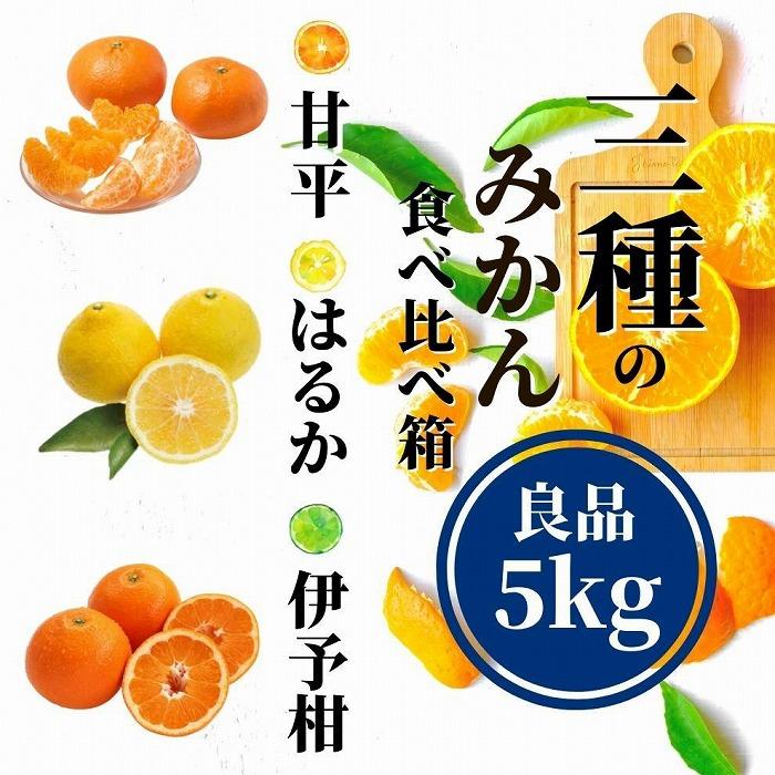 【ふるさと納税】 【三種のみかん食べ比べ箱】甘平・はるか・宮内伊予柑 （良品）約5kg　＜2月頃以降発送＞ | 愛媛 みかん 先行予約 蜜柑 柑橘 果物 くだもの フルーツ お取り寄せ グルメ 期間限定 数量限定 人気 おすすめ 愛媛県 松山市