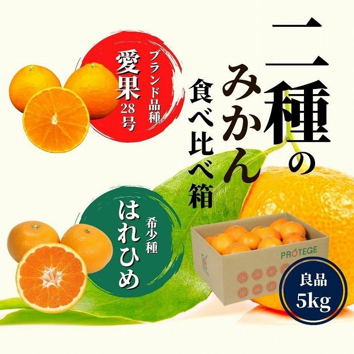 24位! 口コミ数「0件」評価「0」【早期予約受付中！2024年12月～順次発送】愛果28号 ＆ はれひめ 良品 約5kg | 愛果28号 まどんな 柑橘 みかん 果物 くだも･･･ 