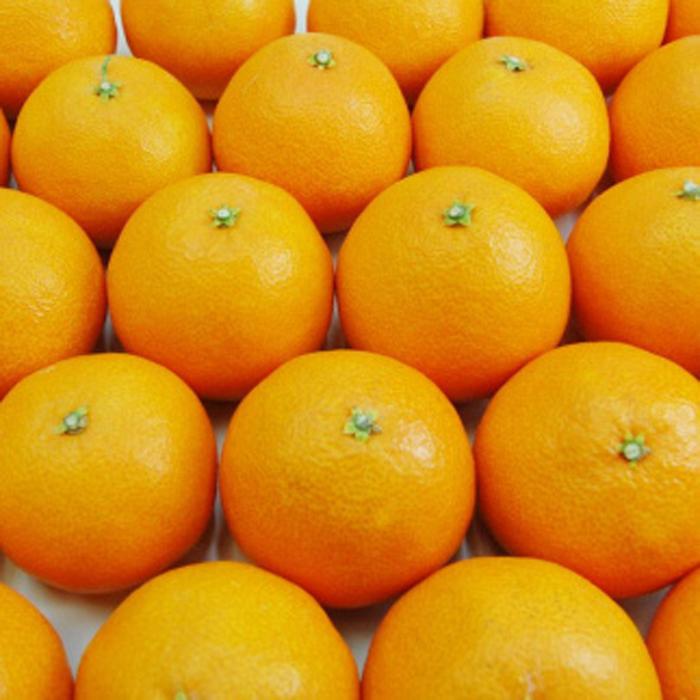 109位! 口コミ数「3件」評価「4.67」 訳あり みかん 愛果28号 約4kg ミカン mikan 愛媛果試第28号 紅まどんな 紅マドンナ と同品種 まどんな 愛媛県 松山市