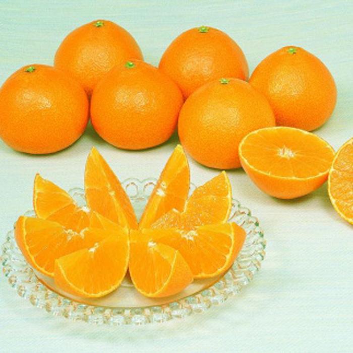 愛媛県松山市の画像2