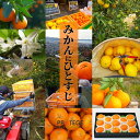 愛媛県松山市の画像3