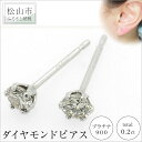 【ふるさと納税】 プラチナ900ダイヤモンドピアス (トータル0.2ct)