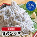 15位! 口コミ数「3件」評価「3」愛媛県産 大容量 贅沢 しらす 1.6kg ( 200g × 8パック ) | 約24人前 しらす丼 丼ぶり 魚 さかな ご飯 ごはん 炒飯･･･ 