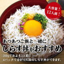 愛媛県松山市の画像3