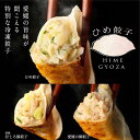 【ふるさと納税】 ひめ餃子(28個)・愛媛の甘とろ豚餃子(18個)・愛媛の鯛ぎょうざ(15個)惣菜 羽根つき餃子 水餃子 餃子 ぎょうざ ギョウザ お中元 ギフ...
