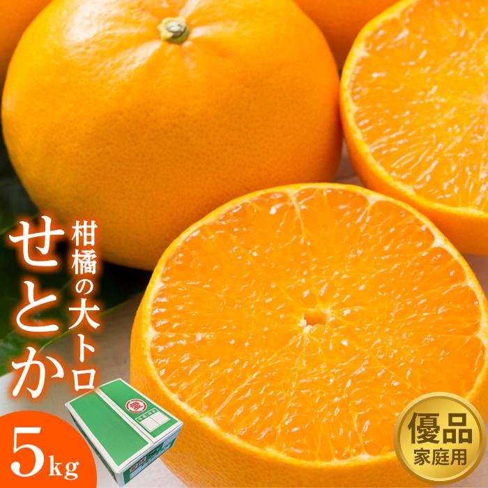柑橘の大トロ せとか 優品 5kg(ご家庭用)