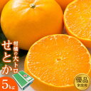 【ふるさと納税】柑橘の大トロ せとか 優品 5kg（ご家庭用）