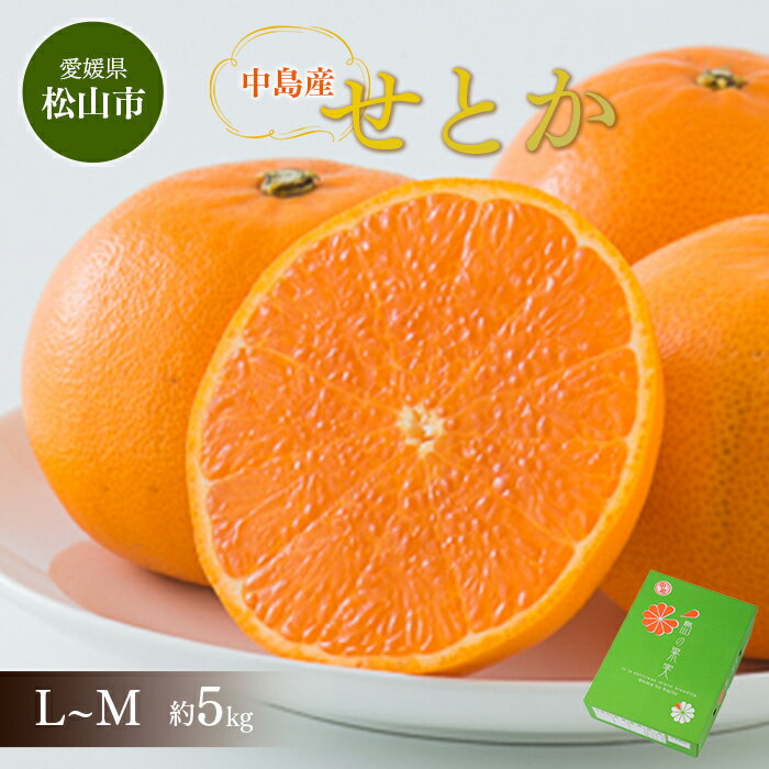 【ふるさと納税】★発送は3月～★中島産 せとか L～M（約5kg）F21Q-092