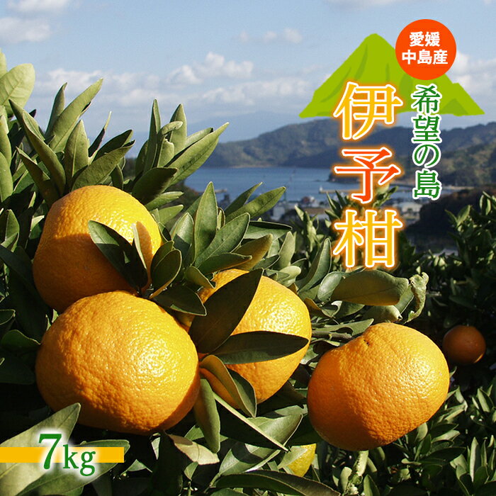 アイテムID:53693の画像1枚目