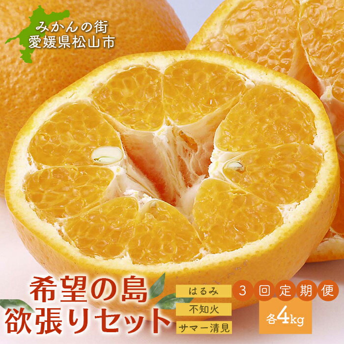 アイテムID:53715の画像1枚目