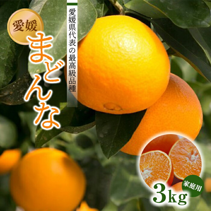 記事番号:33253/アイテムID:53634の画像