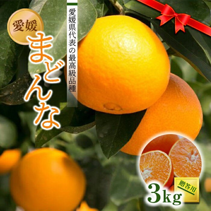 アイテムID:53709の画像1枚目