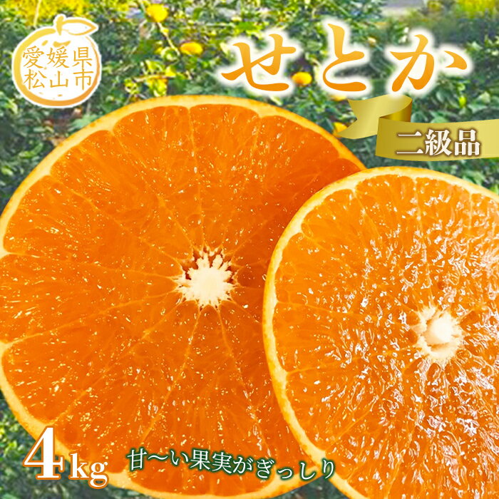 記事番号:33253/アイテムID:53639の画像