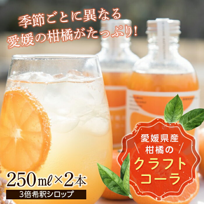 【ふるさと納税】愛媛県産柑橘のクラフトコーラ 250ml×2本 F21Q-1193
