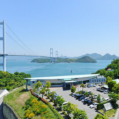 愛媛県今治市 旅行券 宿泊一泊二食付+レンタサイクル(サンライズ糸山) しまなみ海道 来島海峡 絶景三大架橋 サイクリング 旅行 プチ旅行 観光 四国 愛媛 使用期限6ヶ月 【TD09080】【D908】