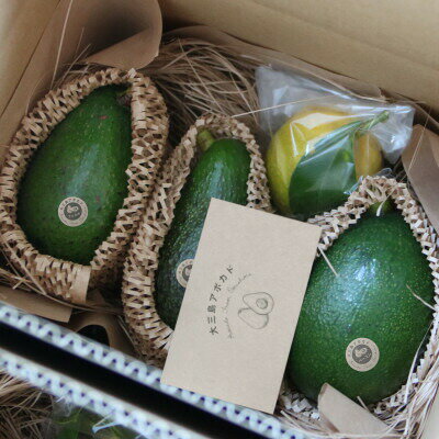 【ふるさと納税】先行受付　希少な国産　大三島アボカド　600g【LB01340】のサムネイル